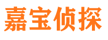 鲁山市调查取证